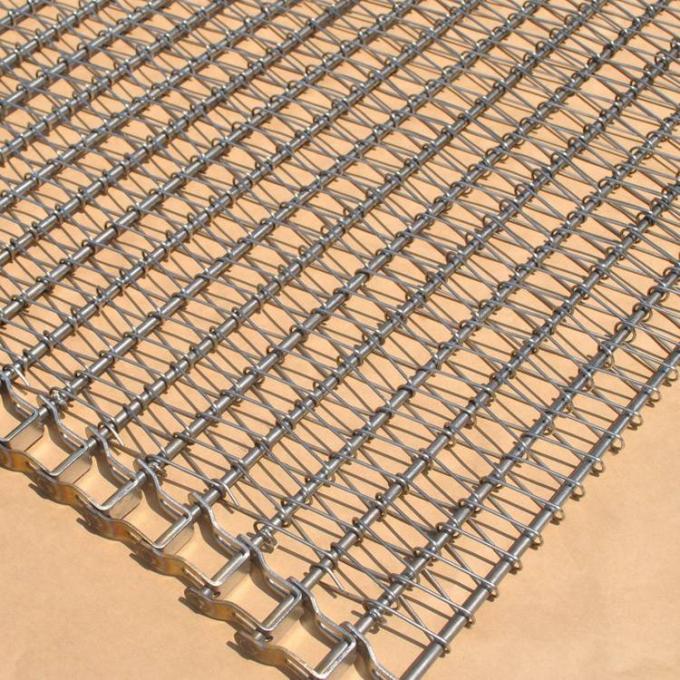 কাস্টমাইজড জারা প্রতিরোধের ফল চকলেট পরিবাহক বেল্ট চেইন চালিত 1