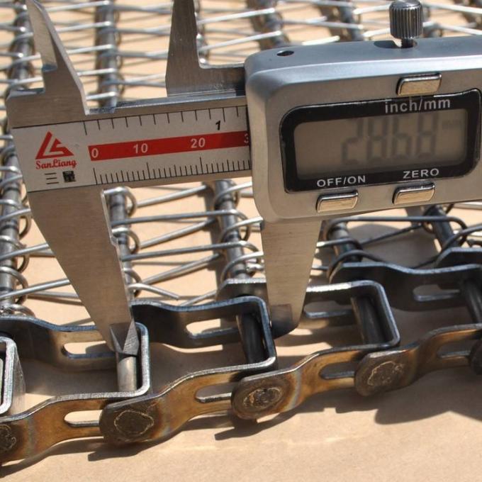 কাস্টমাইজড জারা প্রতিরোধের ফল চকলেট পরিবাহক বেল্ট চেইন চালিত 3