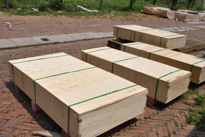 কাস্টমাইজড জারা প্রতিরোধের ফল চকলেট পরিবাহক বেল্ট চেইন চালিত 7