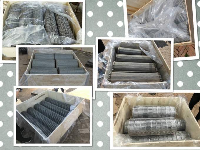 SUS316L স্টেইনলেস স্টীল বহনযোগ্য পরিবাহক বেল্ট ফ্যাব্রিকেশন জাল তার 6